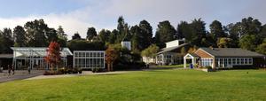Mount Tamalpais School Photo