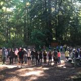 Palo Alto Prep Photo #2 - During the first week of school, Palo Alto Prep students bond through team building challenges at a ropes course in the Santa Cruz mountains.