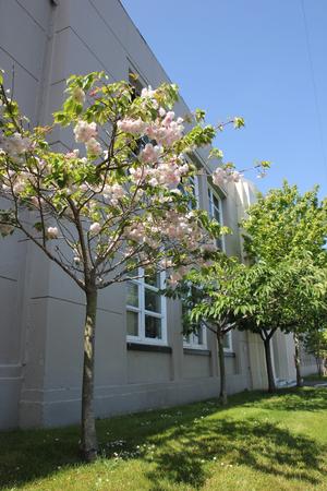 St. Bernard's Academy Photo