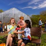 University Lake School Photo #10 - Gardens & Greenhouse