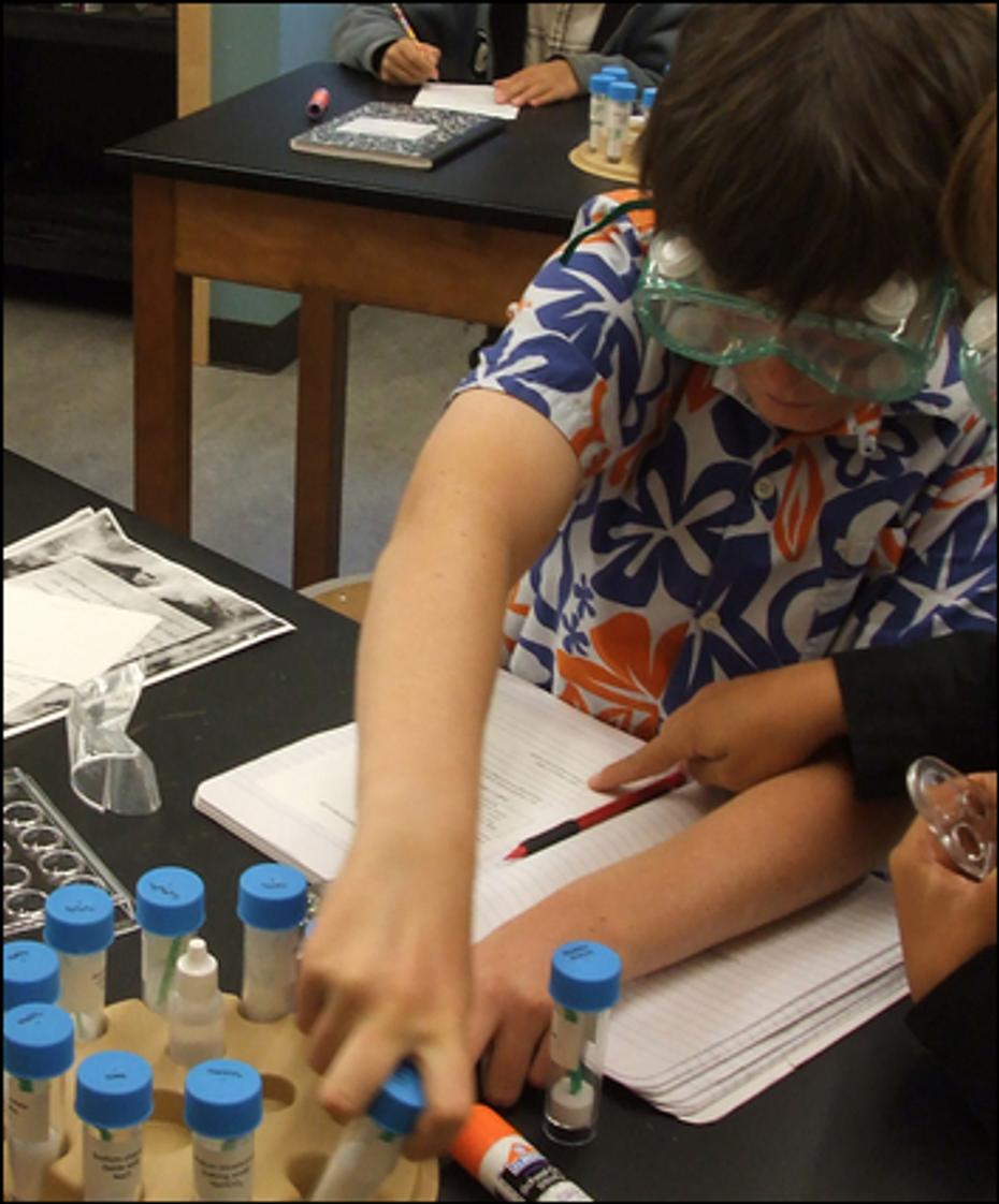 Mountain Academy Of Teton Science Schools Photo - Students engaging in hands-on learning in science class.