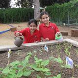 New Horizon School Pasadena Photo #5 - Nature Playground