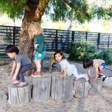 Montessori De Terra Linda Photo #7 - Our natural playscape encourages gross motor play!