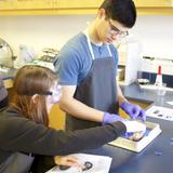 The Kehillah School Photo #4 - Learning the parts of the brain.