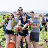 The Kehillah School Photo #3 - Every spring, each grade takes a unique educational trip. The four-year grade-level trip curriculum builds on our academic program through direct experience and exposure to diverse communities with an emphasis on students taking responsibility for their own learning. -photo was taken at the Leket farm in Israel.