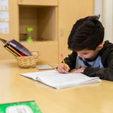 Montessori ONE Academy Photo #5 - Independent work in Elementary