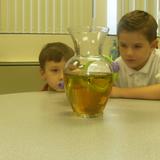 Tidewater Classical Academy Photo #2 - 2nd Graders exploring the wonders of God's creation.