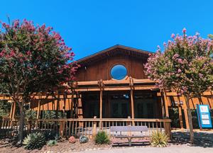 The Springstone School Photo