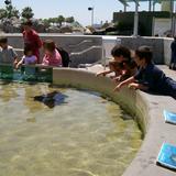 Talega Preparatory Academy Photo #1 - From park days to field trips, student learning flourishes daily.