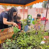 Kids Adventure Learning Center Photo #3 - Learning blossoms in our school garden! As our preschoolers dig, plant, and explore, they develop fine motor skills, sensory awareness, responsibility, and a deeper connection to nature. Outdoor learning nurtures curiosity, cooperation, and a lifelong appreciation for the environment.
