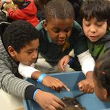 Bridgeport Hope School Photo #9 - Students visit Bridgeport Discovery Museum.