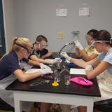 Covenant Christian Academy Photo #5 - Students learning in our state-of-the-art science lab