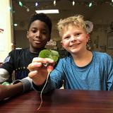 Fellowship Academy Photo #1 - Camp Mustang (after school program) students celebrate their very first harvest from their raised garden.