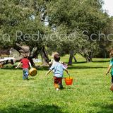 Tara Redwood School Photo - KNOWLEDGE | STRENGTH | COMPASSION-crating compassionate cultures since 1989.Preschool-kindergarten-1st to 6th grades.