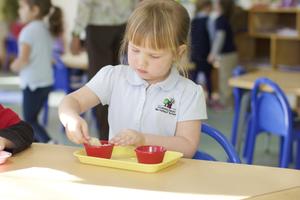 Children's House Montessori School Photo