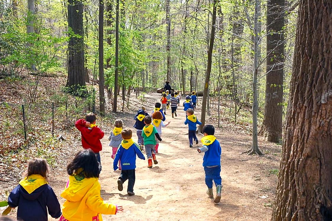 Franklin Montessori School Photo - Friends enjoying the woods