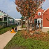 Community Montessori School Photo #8