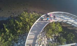 Mangrove School Of Sarasota Photo