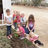 Spirit Of Hope Montessori School Photo #5 - We plant the seeds, we water the seeds, we grow the veggies, we eat the crops.