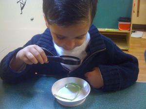 Bonita Learning Academy Photo