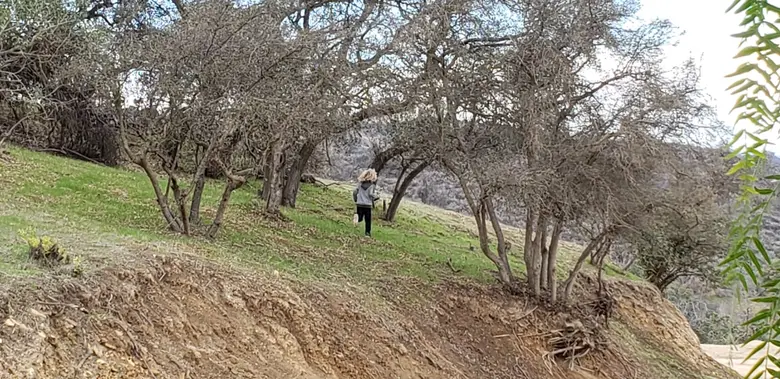 Valley Waldorf City School Photo #2 - A grades student enjoys nature during a field trip with his class teacher in 2019.