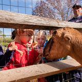 Apple Orchard School Photo #3