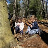 Apple Orchard School Photo #16 - At Apple Orchard School in Brookline, learners have time to explore and play in the woods.