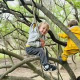 Apple Orchard School Photo #13 - At Apple Orchard School in Brookline, students challenge their gross motor skills through climbing.