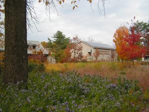 The Willow School Photo