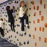 Park Street School Photo #5 - In our fabulous gym, first grade students traverse Park Street School's climbing wall, developing coordination, muscle tone and upper body strength.