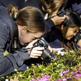 Oak Knoll School Of The Holy Child Photo #6