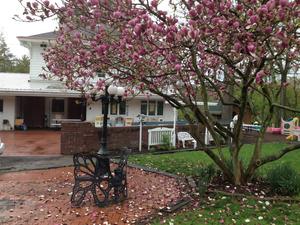 Montessori Center Academy Photo