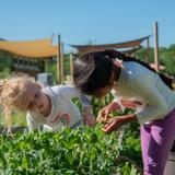 The Montessori School Photo #2 - Examining the garden beds in the Primary Outdoor Classroom