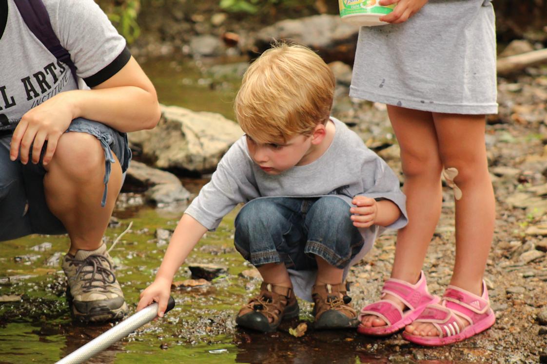 Centreville Layton School Photo - On campus Habitat offering native plant life to study.