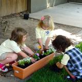 Whispering Oak Montessori Academy Photo #6 - Gardening