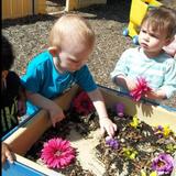 Fishers Landing KinderCare Photo #4 - Take it outdoor activities are a great way to spark a toddlers young mind!!