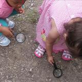 East Roselle KinderCare Photo #5 - Our Discovery Preschool friends love having the opportunity to observe, explore, and experiment with magnifying glasses outdoors!