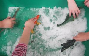 Torrington KinderCare Photo