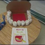 Largo KinderCare Photo #8 - How to Brush Your Teeth" Display for Oral Health!
