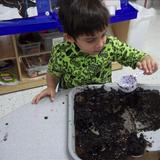 Excelsior KinderCare Photo #10 - One of our Preschoolers digging in the dirt.