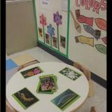 Lincoln Park KinderCare Photo #4 - Toddler Classroom