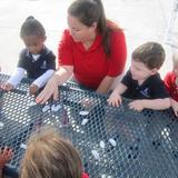 Deerwood KinderCare Photo #8 - Ms. Kathy and friends are exploring ice melting in our Discovery Preschool class