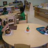 Montessori Ivy League Academy Photo #2 - Independent Discovery