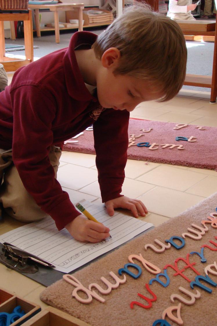 Montessori Academy of New Jersey Photo - Children in the primary program, (ages 3 to 6), possess what Dr. Montessori called the absorbent mind, the ability to absorb all aspects of one's culture and environment without effort or fatigue. As an aid to this period of the child's self-construction, inidividual work is encouraged.
