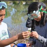 Colorado Academy Photo #3 - Colorado Academy Middle Schoolers enjoy collaborating with peers to solve problems and spark creativity. They stand up for each other and gain independence as they develop their skills in critical thinking, communication and cultural competence. CA's Interim program is a highlight of the year as small groups of Middle Schoolers participate in outdoor, experiential trips with their teachers.