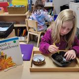 Cambridge Montessori School Photo #1