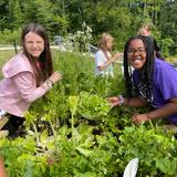St. Michael's Episcopal School Photo #3 - Hands-on and outdoor learning with our greenhouse, student gardens, lake and woodland trails. #STEMatSTM