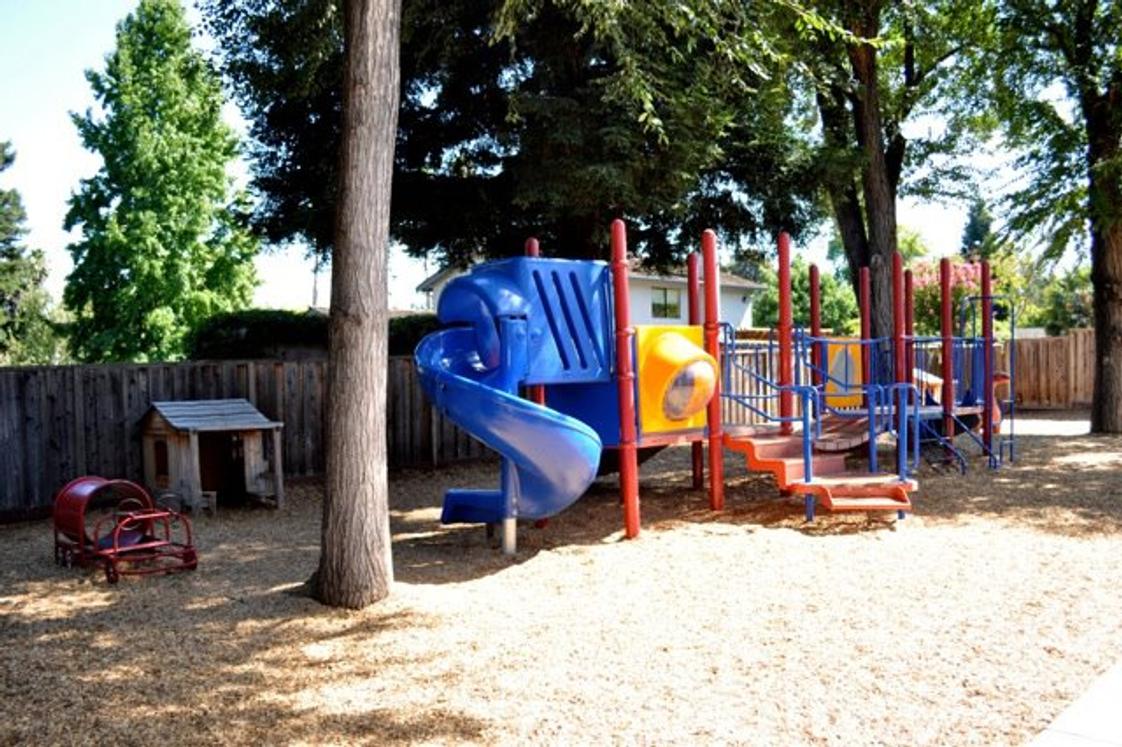 Danville Montessori School Photo #1 - Our naturally tree shaded play yard offers the most energentic child the opportunity to run, play, and grow.