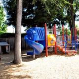 Danville Montessori School Photo - Our naturally tree shaded play yard offers the most energentic child the opportunity to run, play, and grow.