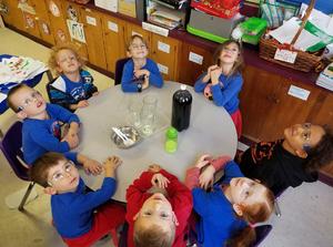 International School Of Tucson Photo